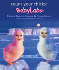 babylabs