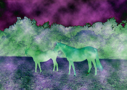 dreamfield