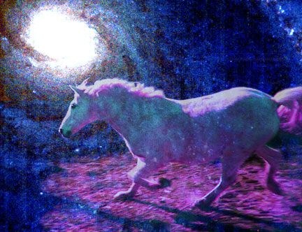 star pony