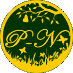 p-n logo