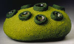 Green Fuse
